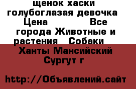 щенок хаски  голубоглазая девочка › Цена ­ 12 000 - Все города Животные и растения » Собаки   . Ханты-Мансийский,Сургут г.